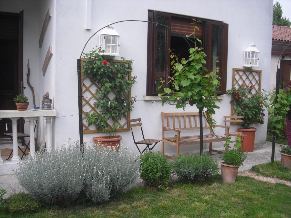 Ca' Delle Arti Bed and Breakfast Oriago Di Mira Exteriör bild